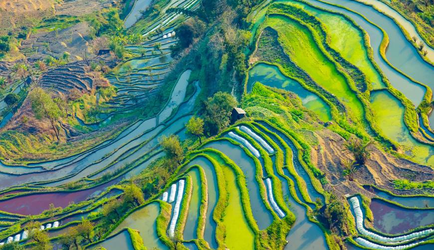 宝妈必备神器：呼兰区产品视频拍摄轻松育儿好帮手