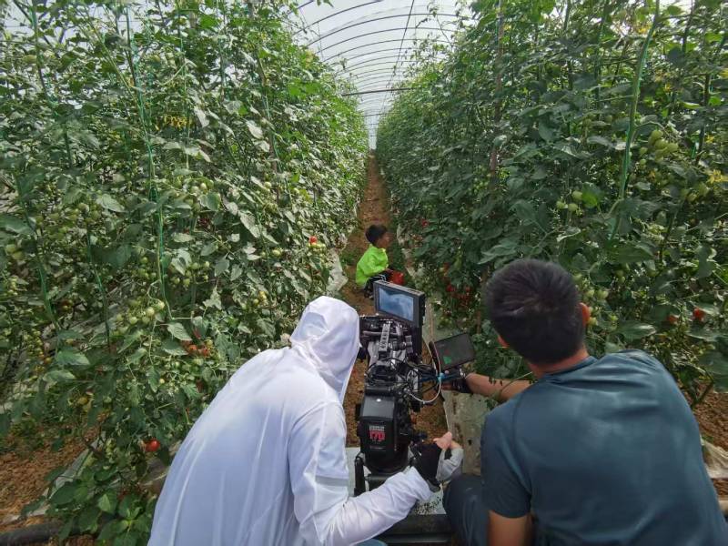 呼兰区产品宣传视频拍摄公司进阶指南，助力品牌抢占传播高地